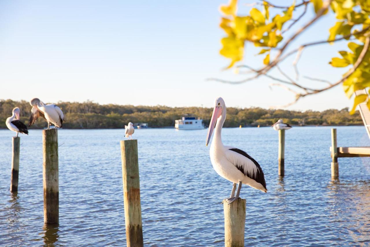 The Islander Noosa Resort Noosaville Ngoại thất bức ảnh